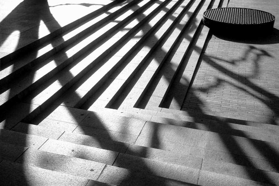 escalier marche noir et blanc artistique graphique ombre arbre