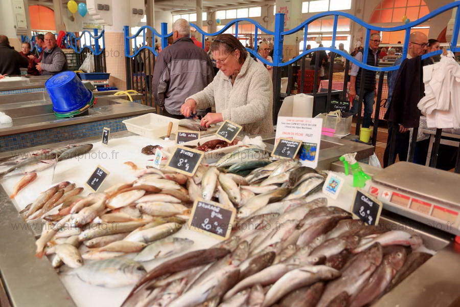 Marché Forville Cannes, marché aux poissons//V.Trillaud/www.niceartphoto.fr