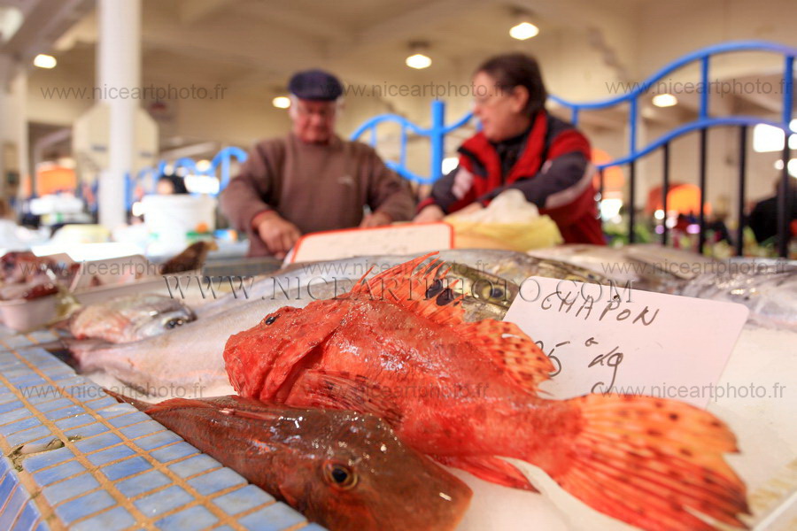 Marché Forville Cannes, marché aux poissons//V.Trillaud/www.niceartphoto.fr