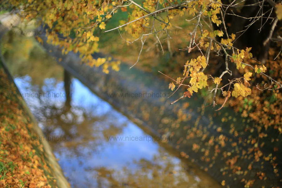 Canal de la Siagne en automne