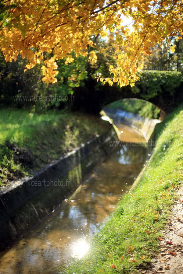 Canal de la Siagne en automne