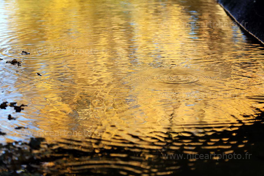 reflets d'or dans l'eau