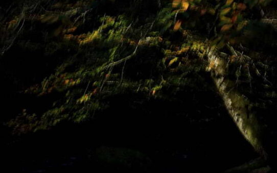 La vallée des peintres impressionnistes