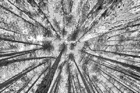 la boutique photographies d'art