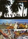 references clients chasseur d images presse