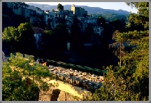 photographe alpes-maritimes pont