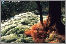 photographe reportage Vence