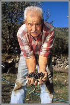 photographe reportage huile olive