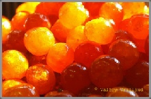 photographie confiserie artisanat
