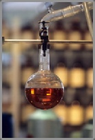 reportage parfumerie fragonard