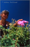 reportage provence photo