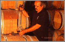 reportage viticulture vendande vin