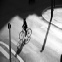 velo en ville