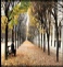 palais royal Paris automne
