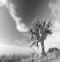 route mont ventoux