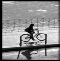 velo en ville lignes 