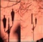 ombres sur mur ocre