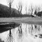 paysage artistique hiver