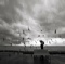 photo artistique oiseaux