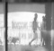 photographie d'art noir et blanc