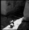 photo d'art noir et blanc